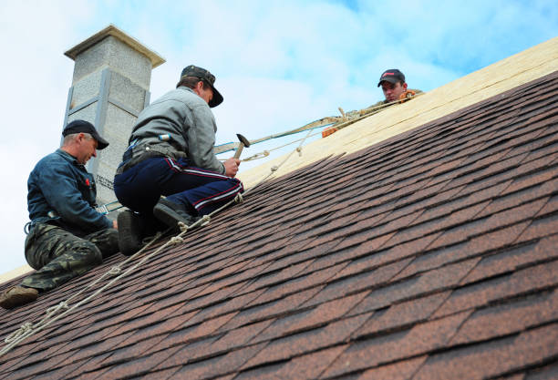 Professional Roofing Contractor in East Pasadena, CA