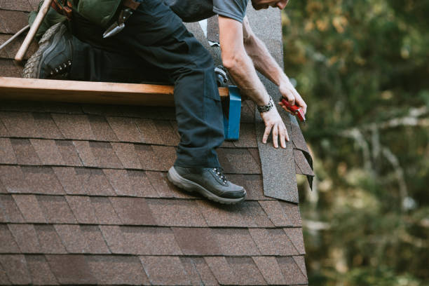 Best Roof Gutter Cleaning  in East Pasadena, CA